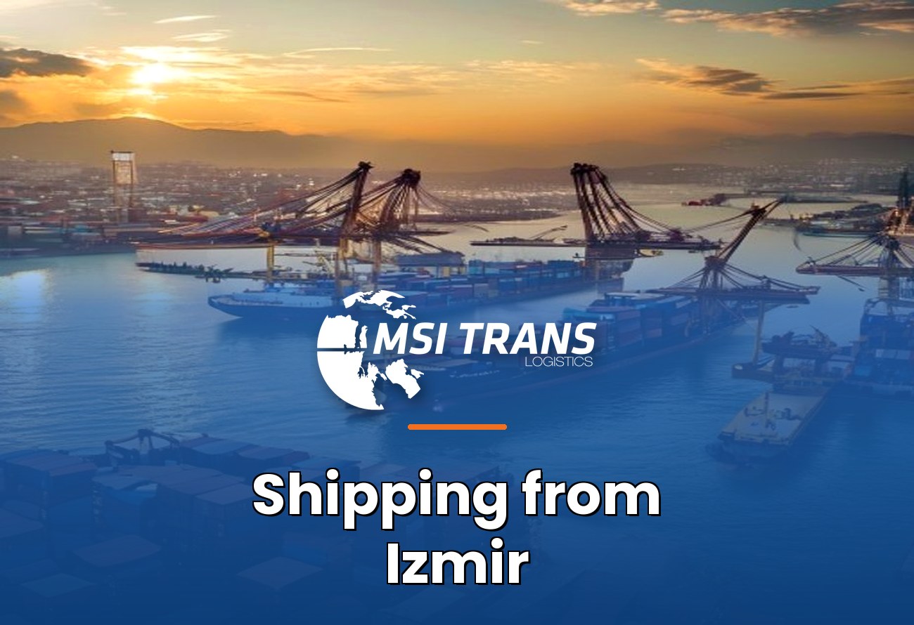MSI-Trans Izmir Aegean operations cover — Port of Izmir Alsancak with container ship and gantry cranes