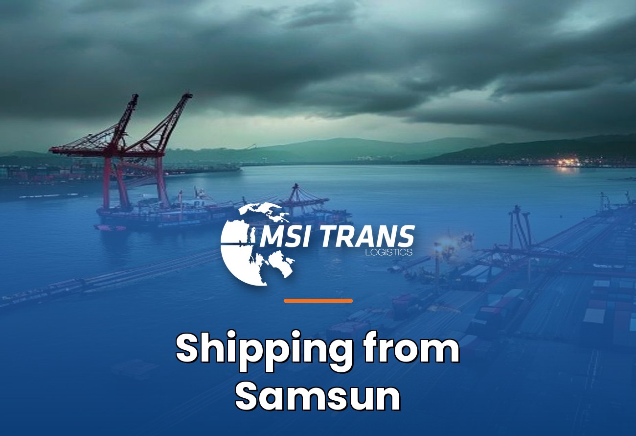 MSI-Trans Samsun Black Sea operations cover — port of Samsun with general cargo vessel and cranes