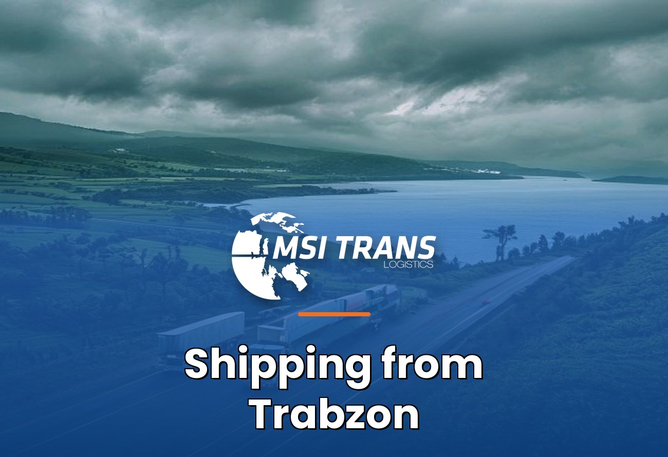 MSI-Trans Trabzon Eastern Black Sea operations cover — freight trucks on Black Sea coastal highway with tea plantations